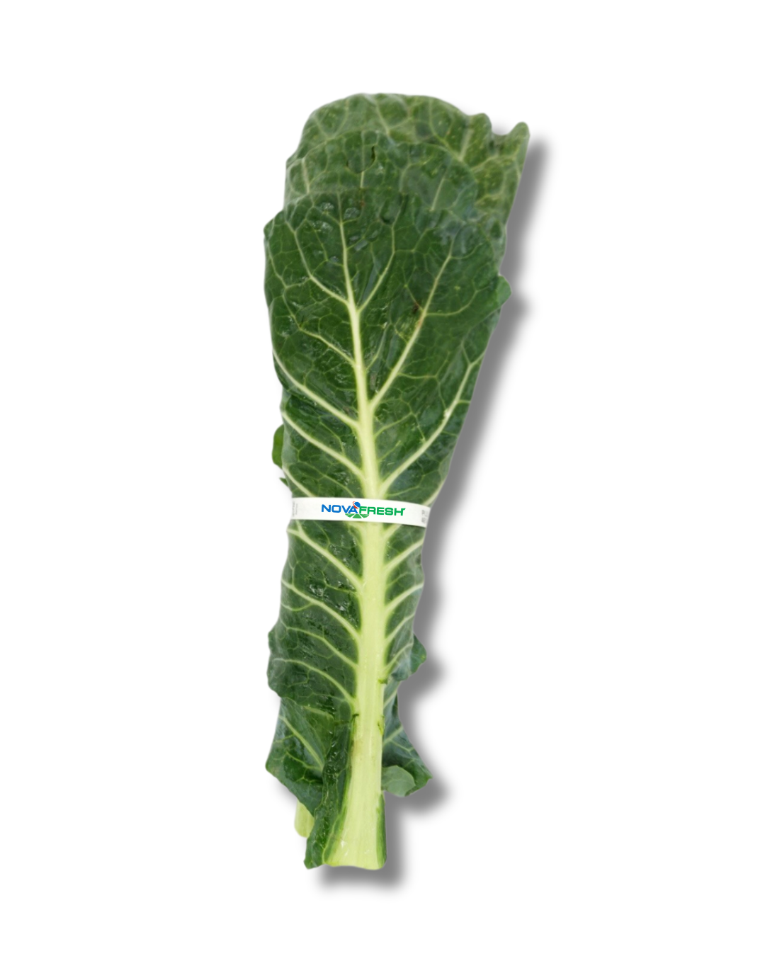 Collard Greens (2) Collard Greens – Hearty greens with a clean and earthy flavor.