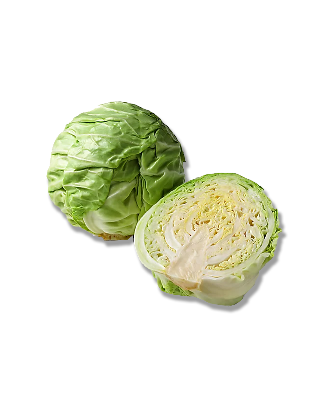 Organic Green Cabbage – Crunchy, colorful and naturally sharp.