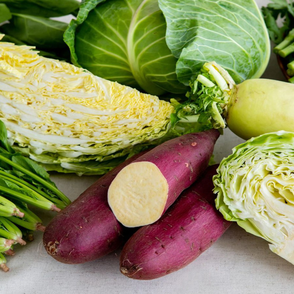 Nova World Fresh, LLC - We are a trusted grower, shipper and distributor of fresh winter produce.