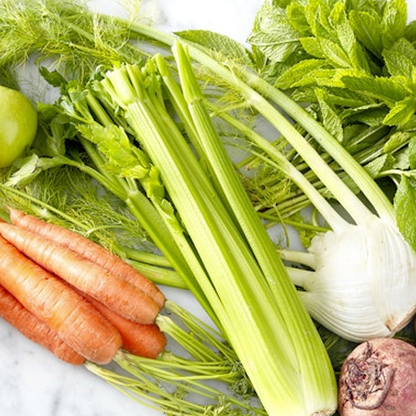 Nova World Fresh, LLC - We are a trusted grower, shipper and distributor of fresh year round produce.